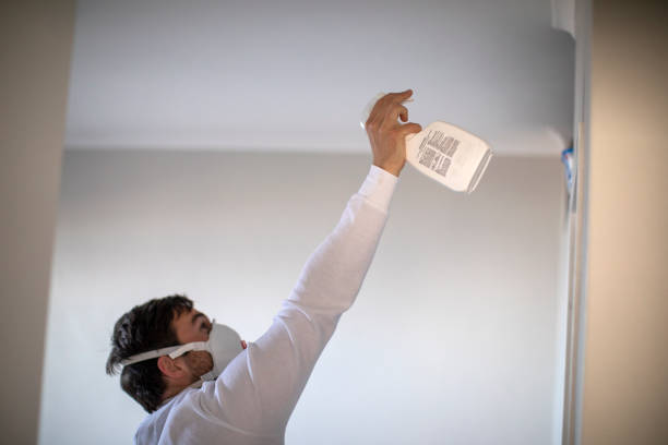 Best Commercial Mold Removal  in Iowa Colony, TX