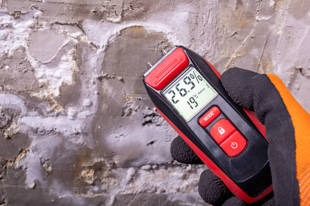 Best Mold Testing and Removal  in Iowa Colony, TX
